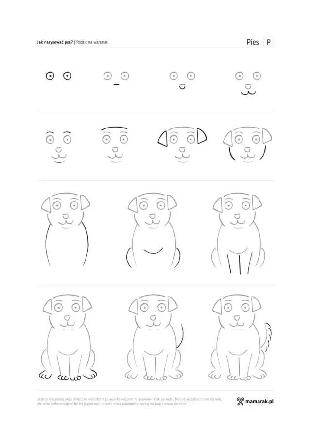 Jak łatwo narysować zwierzęta domowe – proste kroki dla początkujących