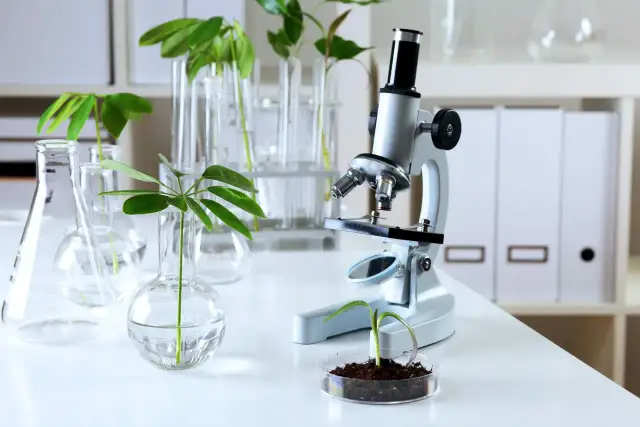 Biologia sądowa czy warto? Odkryj korzyści i perspektywy kariery