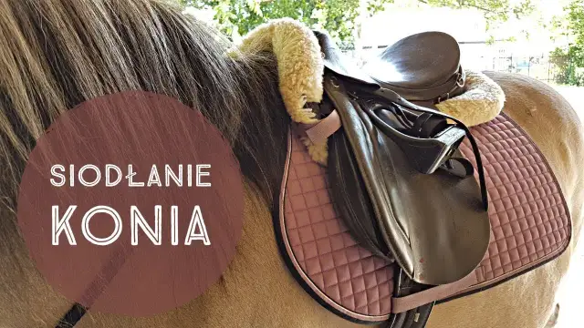 Jak osiodłać konia - uniknij najczęstszych błędów i zyskaj pewność