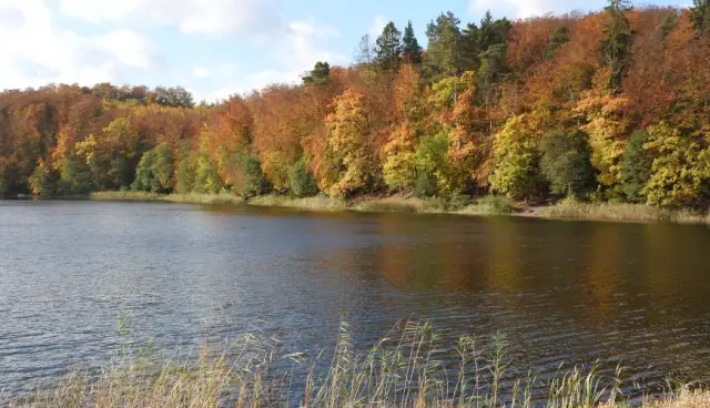 Jezioro Otomińskie: tajemnice, atrakcje i piękno natury w Polsce