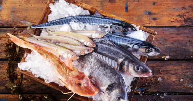 Jaka ryba dla niemowląt jest najzdrowsza i bezpieczna do jedzenia