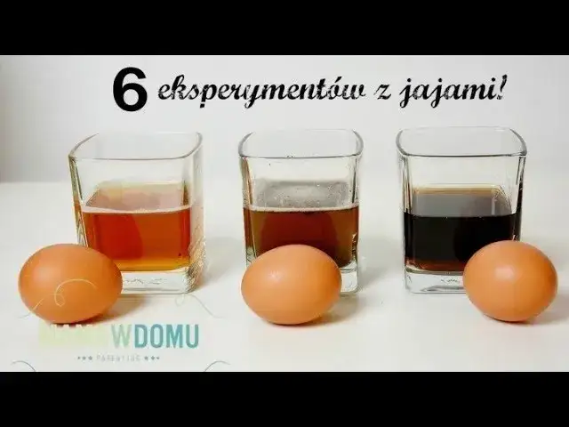 Proste eksperymenty z jajkiem w domu: nauka dla dzieci