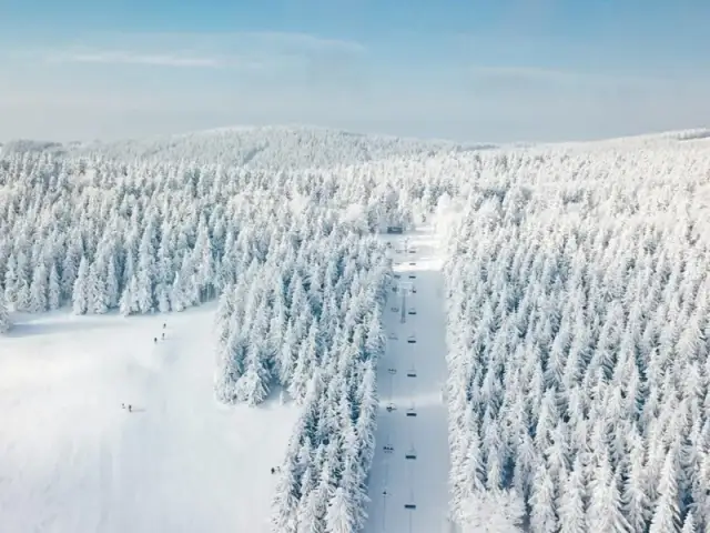 Zieleniec: Wyciągi, ceny i godziny otwarcia Twój przewodnik