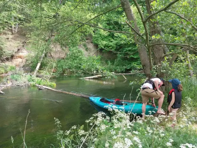 Spływ kajakowy Kujawsko Pomorskie - najlepsze trasy i atrakcje