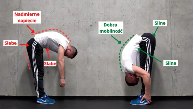 Rozciąganie przed czy po cardio: uniknij kontuzji i popraw wyniki