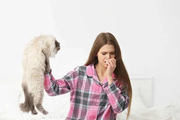 Devon Rex alergia – czy to idealny kot dla alergików?