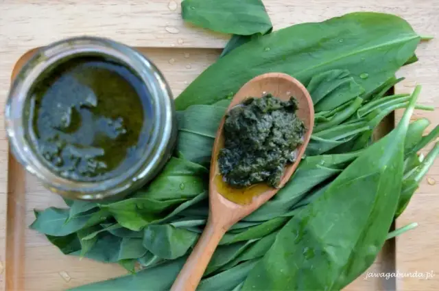 Pesto z czosnku niedźwiedziego: Przepis krok po kroku + Sekrety!