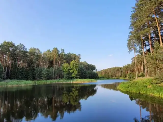 Czarnków atrakcje: najlepsze miejsca dla rodzin i miłośników przyrody