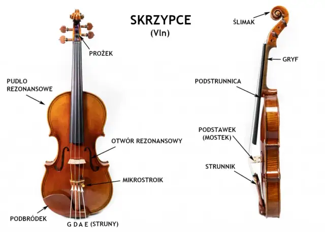 Budowa skrzypiec: Kluczowe elementy i sekret ich brzmienia