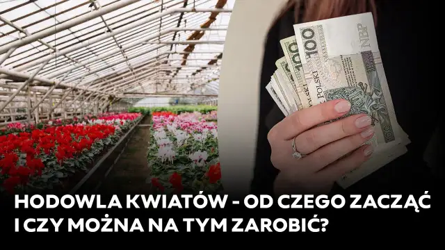 Hodowla kwiatów jak zacząć: najczęstsze błędy i skuteczne porady