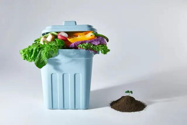 Czy można sadzić w kompoście? Odkryj zalety i wady tej metody