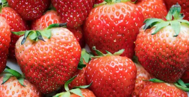 Kiedy jest sezon na truskawki w Polsce? Sprawdź najlepszy czas na zakupy