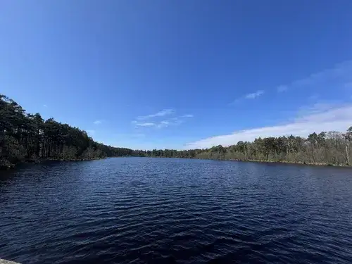 Jezioro Dołgie Wielkie - odkryj jego tajemnice i atrakcje przyrodnicze