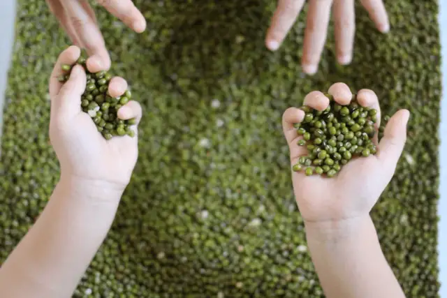 Dziecko a integracja sensoryczna: Jak rozpoznać i wspierać rozwój