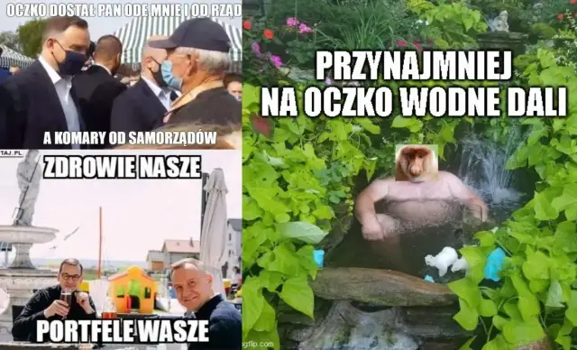 Oczko Wodne Mem: Geneza, Humor i Dlaczego Wciąż Bawi?