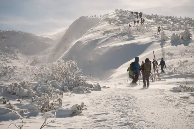 Zawoja: Jakie góry? Beskid Żywiecki i szlaki na Babią Górę czekają!