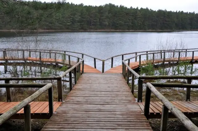 Jezioro lobeliowe w Borach Tucholskich: unikalne ekosystemy i ich ochrona