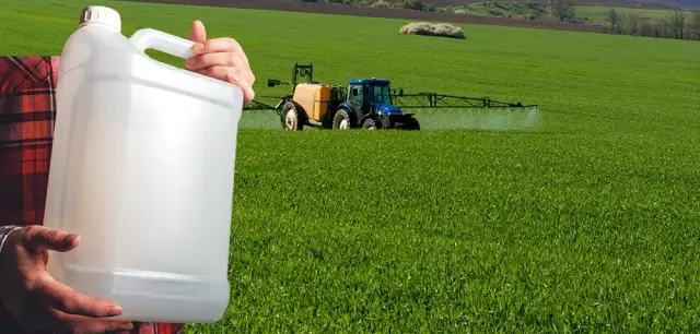 Skuteczne metody zwalczania bodziszka chwastu w uprawach rolnych