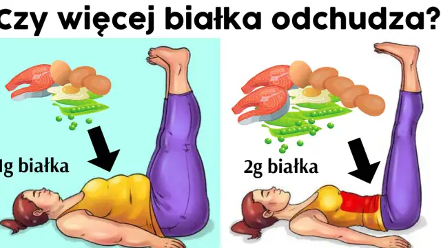 Białko na redukcji: Ile jeść, by spalać tłuszcz i chronić mięśnie?