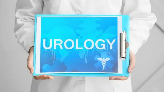 Urolog czym się zajmuje - poznaj najważniejsze choroby i leczenie