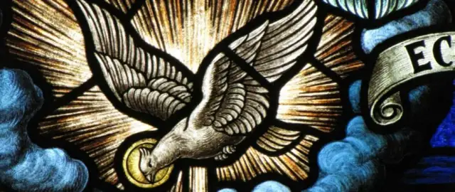 Symbolika gołębia: Pokój, miłość, Duch Święty. Czy znasz wszystkie?