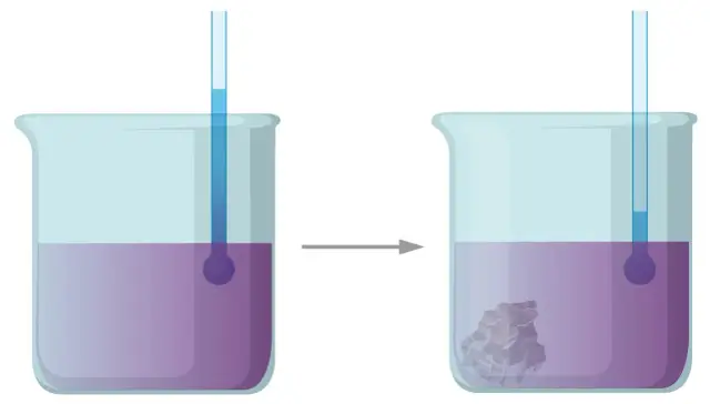 Krystalizator laboratoryjny: Do czego służy i jak uzyskać czyste kryształy?