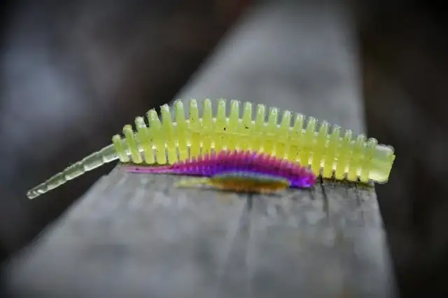 Skuteczne przynęty FishUp: Jak wybrać najlepsze do wędkowania