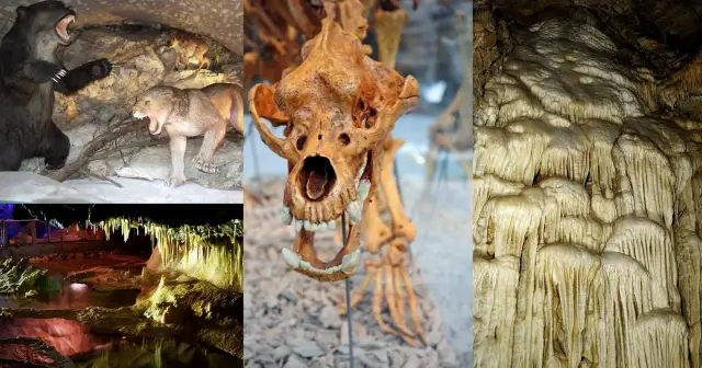 Rezerwat przyrody Jaskinia Niedźwiedzia: Tajemnice i atrakcje Sudetów