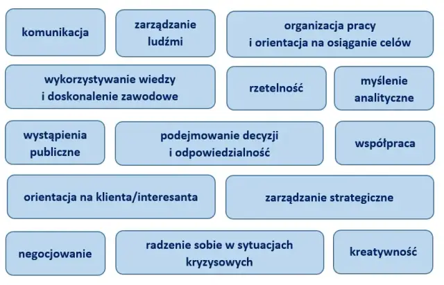 Kompetencje zawodowe: Klucz do kariery. Co musisz wiedzieć?