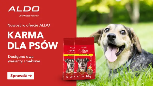 Szczęśliwy pies na trawie obok dwóch paczek karmy dla psów ALDO. Sprawdź, ile kosztuje karma dla psa i wybierz smak kurczaka lub wołowiny.