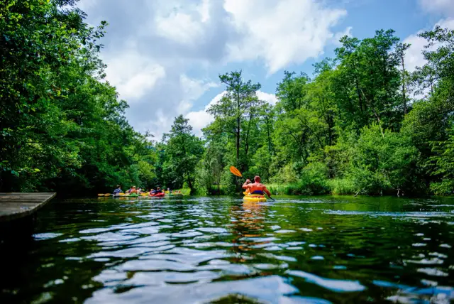 Jezioro Krutyńskie: atrakcje, noclegi i tajemnice ukryte w sercu Mazur