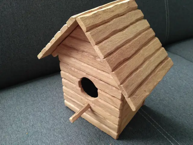 Jak zrobić domek dla papug? Bezpieczeństwo i komfort DIY.