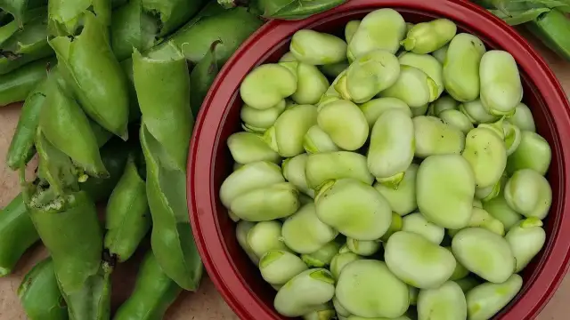 Kiedy sezon na polski bób? Od kiedy do kiedy kupisz najsmaczniejszy?