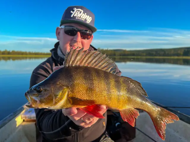 Kryl na jakie ryby - skuteczne przynęty na wędkarskie sukcesy