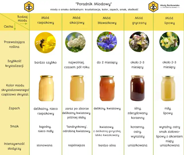 Jaki miód do nalewki? Wybierz idealny smak!