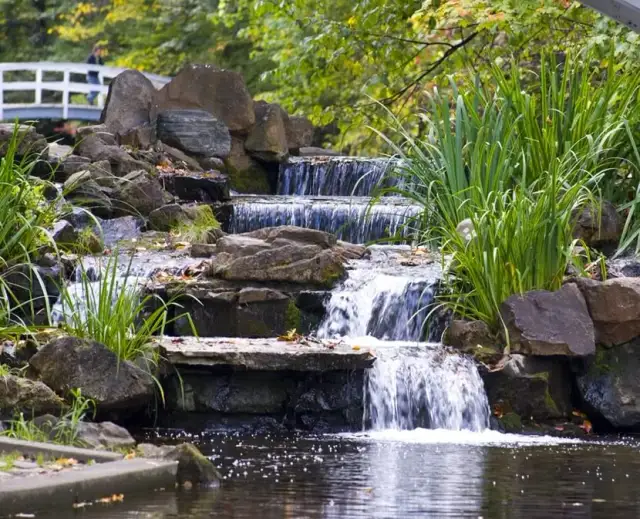 Jak zrobić wodospad ogrodowy i stworzyć oryginalną przestrzeń relaksu