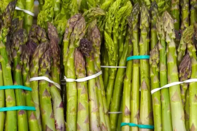 Koniec sezonu na szparagi w Polsce? Kluczowa data i porady!