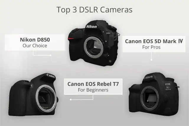 Najlepsza lustrzanka Nikon: Ranking i rekomendacje modeli 2026