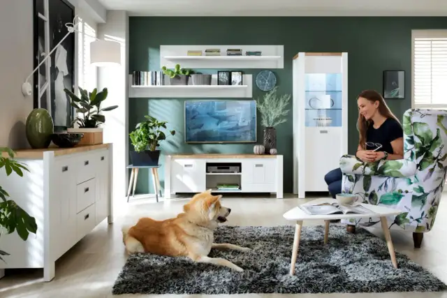 Jak zabezpieczyć kanapę przed psem? Skuteczne metody i tkaniny.