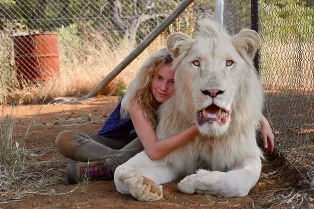 Najlepsze filmy o zwierzętach na Netflix i Disney+? Przewodnik!