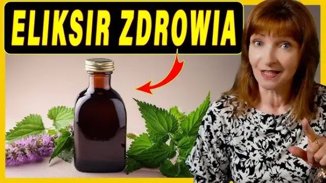 Jak zrobić domowe ekstrakty? Ziołowe eliksiry krok po kroku