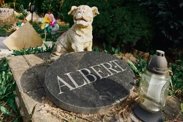 Gdzie jest cmentarz dla zwierząt? Znajdź godne miejsce pochówku