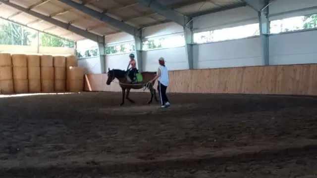 Klub jeździecki Kres – najlepsze kursy jazdy konnej w Jurowcach