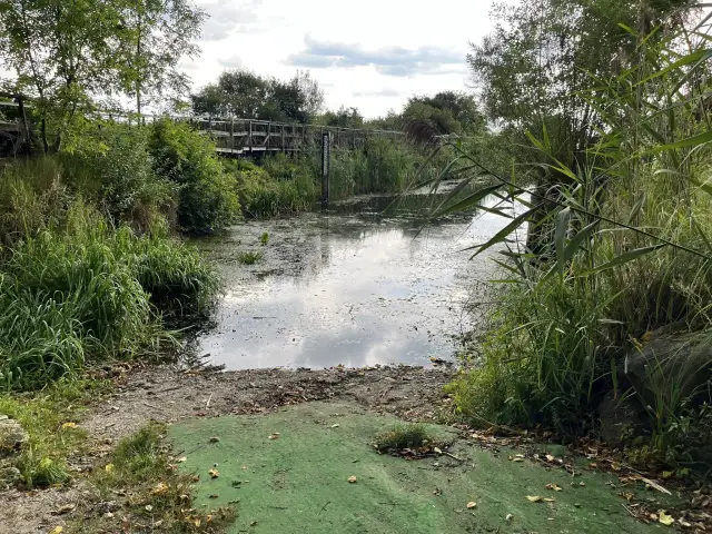 Najciekawsze atrakcje w Wysokiem Mazowieckiem, które musisz zobaczyć