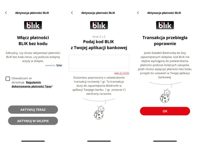 Czy w Biedronce można płacić blikiem? Odkryj wszystkie szczegóły