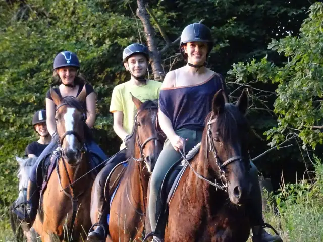 Zagroda jeździecka Mustang - wyjątkowe miejsce dla miłośników koni