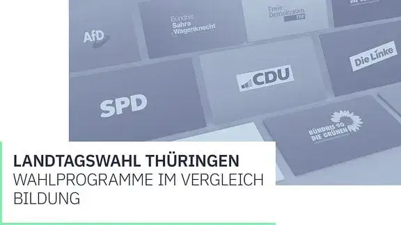 Die Linke Wahlprogramm Bildung: Chancengleichheit und gebührenfreies Lernen