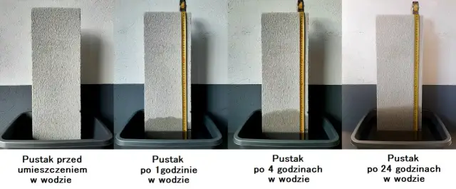 Zjawisko włoskowatości: jak działa kapilarność i jej zastosowanie w naturze