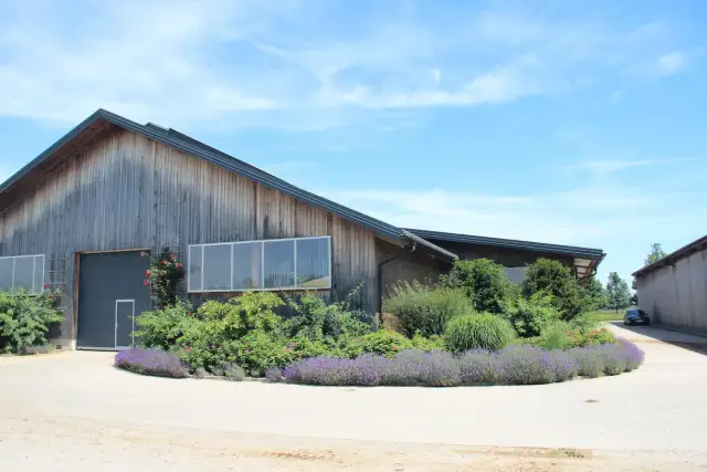 Zwolnienia z podatku od nieruchomości: Kiedy nie musisz płacić?