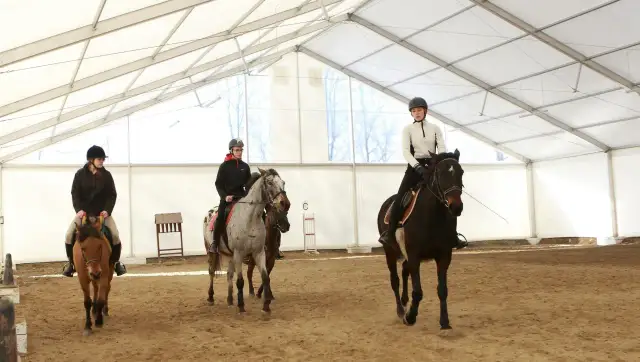 Gdzie jest technikum hodowli koni? Odkryj najlepsze lokalizacje w Polsce